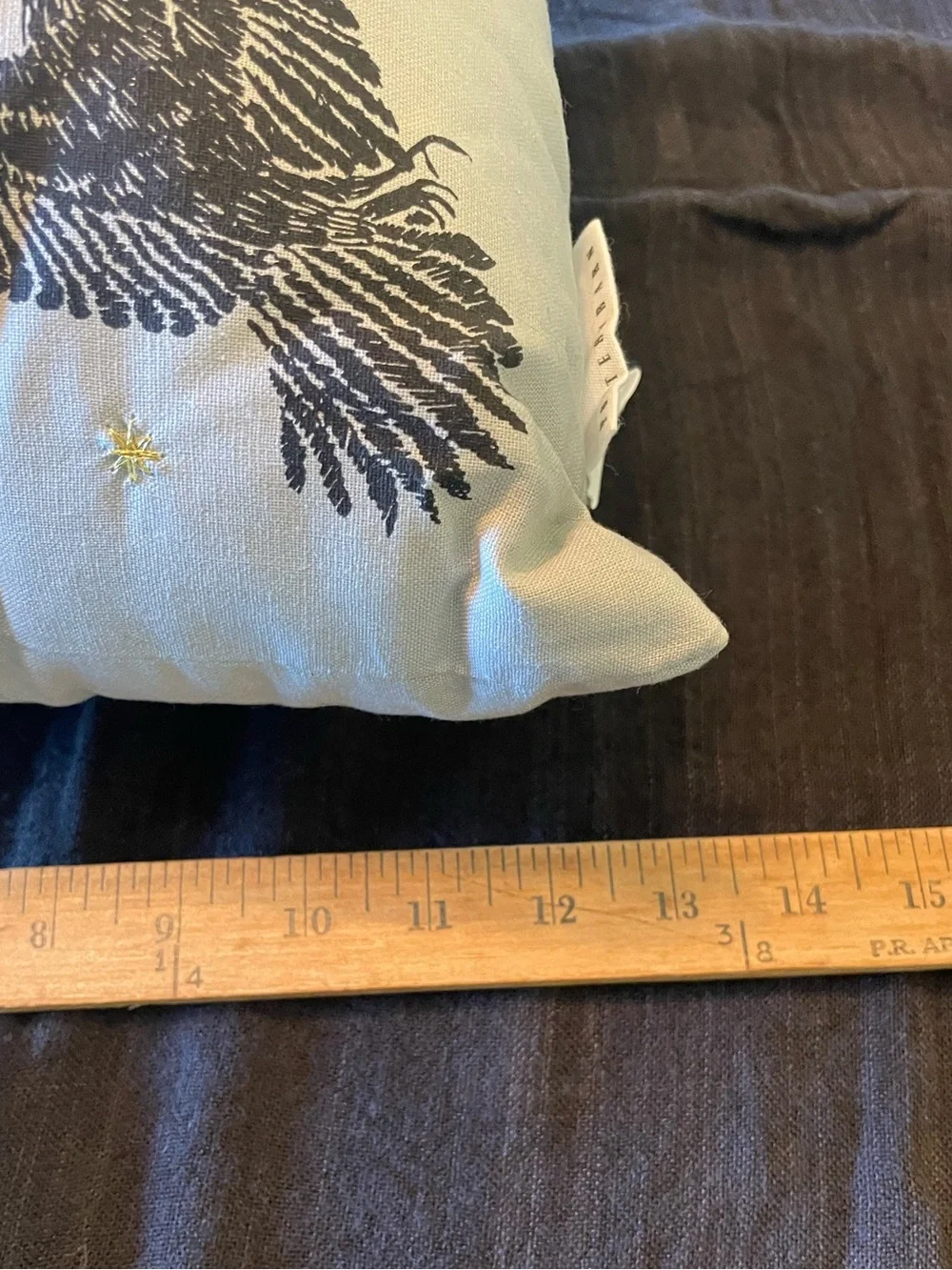 Pottery Barn Haunt It Accent Pillow